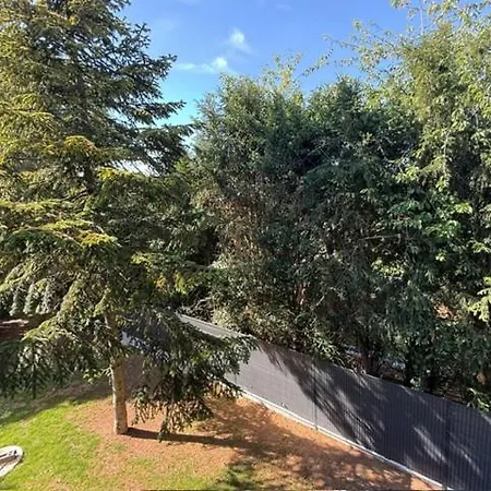 De La Jungle Avec 3*