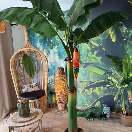 Frühstückspension De La Jungle Avec 3*