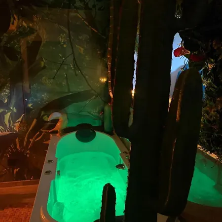 Bed & Breakfast De La Jungle Avec