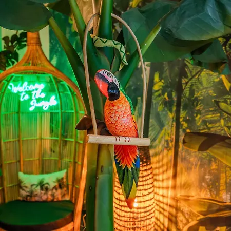Acomodação com café da manhã  De La Jungle Avec