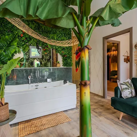 Acomodação com café da manhã  De La Jungle Avec 3*